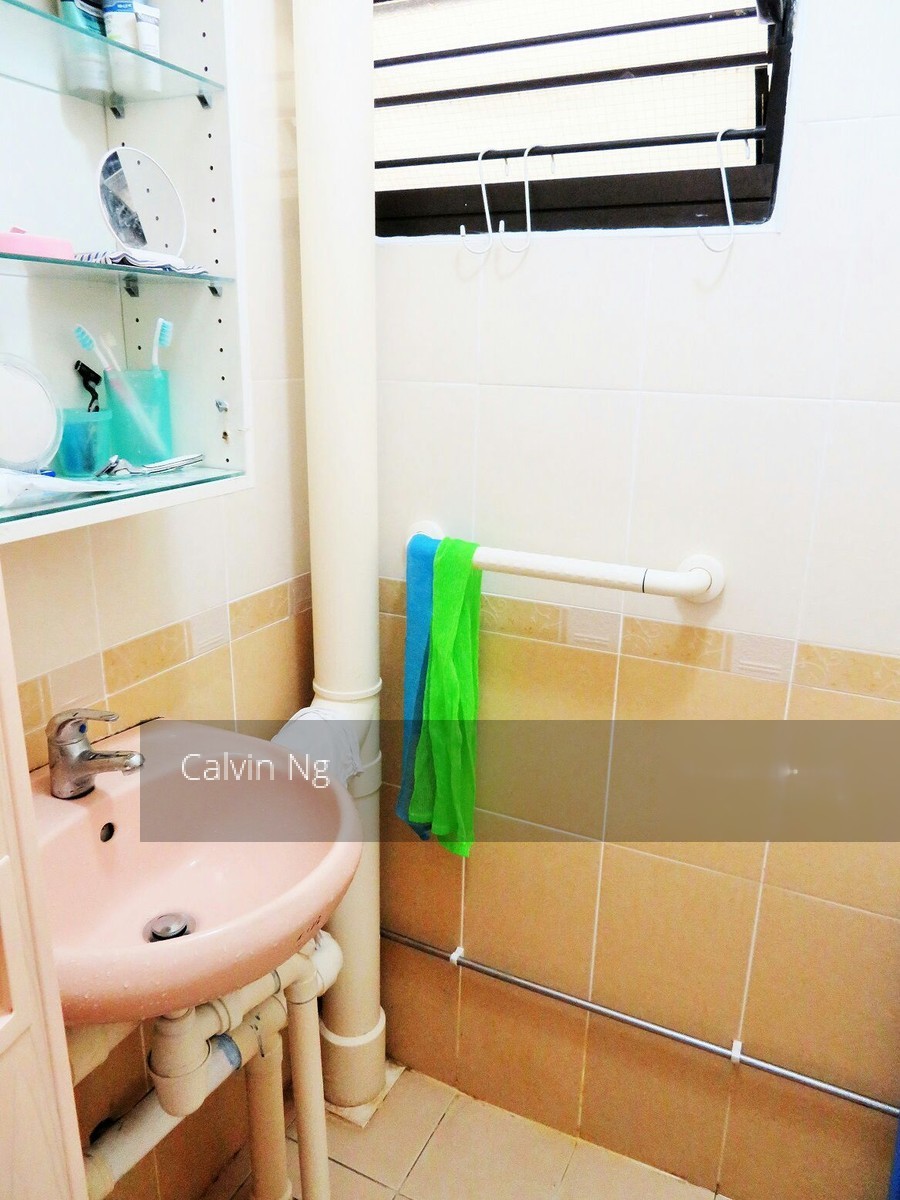 Blk 33 Telok Blangah Way (Bukit Merah), HDB 3 Rooms #135250102